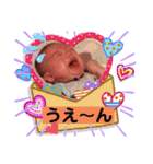 happy蒼空（個別スタンプ：11）