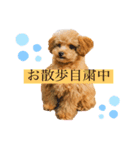 うに君スタンプ（個別スタンプ：1）