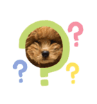 うに君スタンプ（個別スタンプ：14）