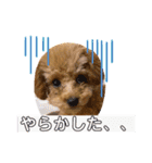 うに君スタンプ（個別スタンプ：15）
