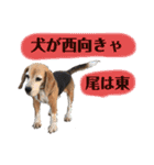 にるすた。（個別スタンプ：1）