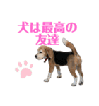 にるすた。（個別スタンプ：3）