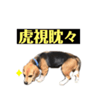 にるすた。（個別スタンプ：8）