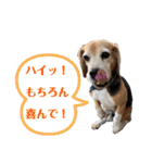 にるすた。（個別スタンプ：13）