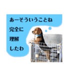 にるすた。（個別スタンプ：18）
