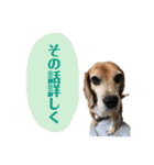 にるすた。（個別スタンプ：21）