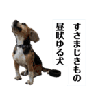 にるすた。（個別スタンプ：22）