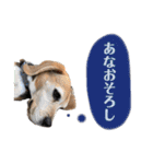 にるすた。（個別スタンプ：23）