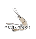チーム甲殻類（個別スタンプ：2）