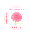 5月、誕生日の花 花言葉つき（個別スタンプ：10）