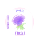 5月、誕生日の花 花言葉つき（個別スタンプ：12）