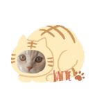 Latte①（個別スタンプ：1）
