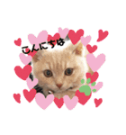 Latte①（個別スタンプ：3）