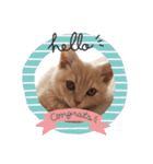 Latte①（個別スタンプ：6）