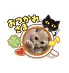 Latte①（個別スタンプ：8）