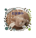 Latte①（個別スタンプ：13）