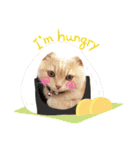 Latte①（個別スタンプ：15）
