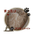 Latte①（個別スタンプ：16）