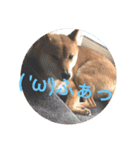 福さんのほんわかスタンプ！（個別スタンプ：4）