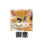 櫻庭家の猫たち（個別スタンプ：10）