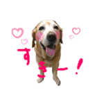 キュンキュンのいる毎日（個別スタンプ：10）