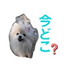 イネちゃん達の使える楽しいスタンプ♪（個別スタンプ：7）