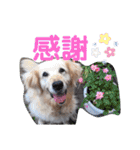 イネちゃん達の使える楽しいスタンプ♪（個別スタンプ：9）