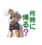 イネちゃん達の使える楽しいスタンプ♪（個別スタンプ：10）