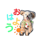 イネちゃん達の使える楽しいスタンプ♪（個別スタンプ：13）