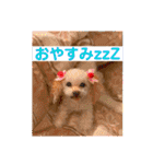 イネちゃん達の使える楽しいスタンプ♪（個別スタンプ：14）