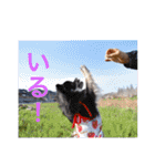 イネちゃん達の使える楽しいスタンプ♪（個別スタンプ：17）