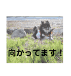 イネちゃん達の使える楽しいスタンプ♪（個別スタンプ：25）