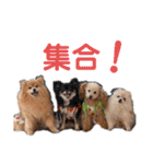イネちゃん達の使える楽しいスタンプ♪（個別スタンプ：26）