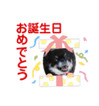 イネちゃん達の使える楽しいスタンプ♪（個別スタンプ：29）