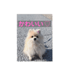 イネちゃん達の使える楽しいスタンプ♪（個別スタンプ：32）