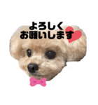 今日のもこちゃん（個別スタンプ：2）