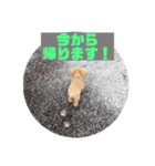 今日のもこちゃん（個別スタンプ：11）