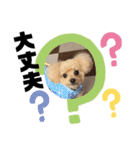 今日のもこちゃん（個別スタンプ：14）