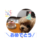 今日のもこちゃん（個別スタンプ：16）