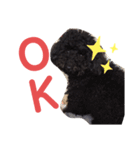 フクくん黒プー（個別スタンプ：4）