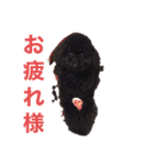 フクくん黒プー（個別スタンプ：14）