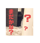 フクくん黒プー（個別スタンプ：16）