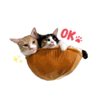 melmei♡（個別スタンプ：5）