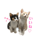 melmei♡（個別スタンプ：8）