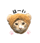 melmei♡（個別スタンプ：29）