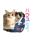 melmei♡（個別スタンプ：36）