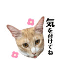 melmei♡（個別スタンプ：37）