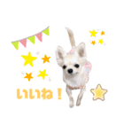 チワワのりんごちゃん1（個別スタンプ：7）