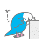 インコの部屋（個別スタンプ：10）