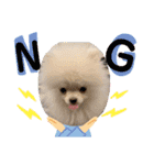 ホワイトポメラニアンのラキちゃん（個別スタンプ：2）